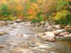 Swift River and Autumn Colors, White Mountains